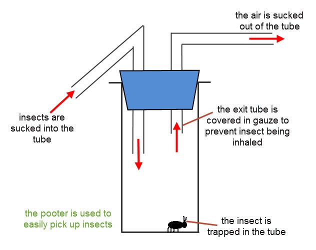 image of how to use a pooter 